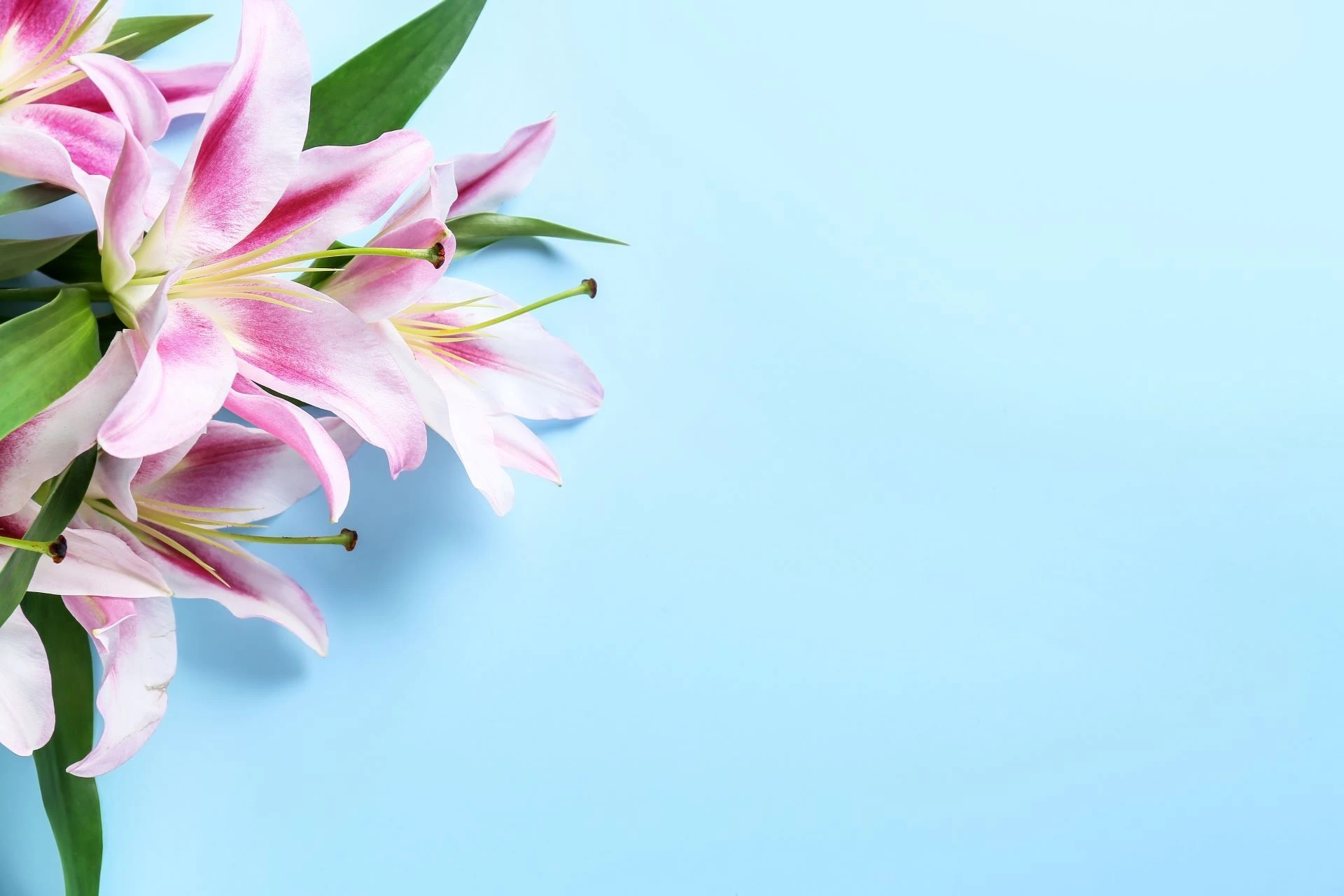 AdobeStock_409896992