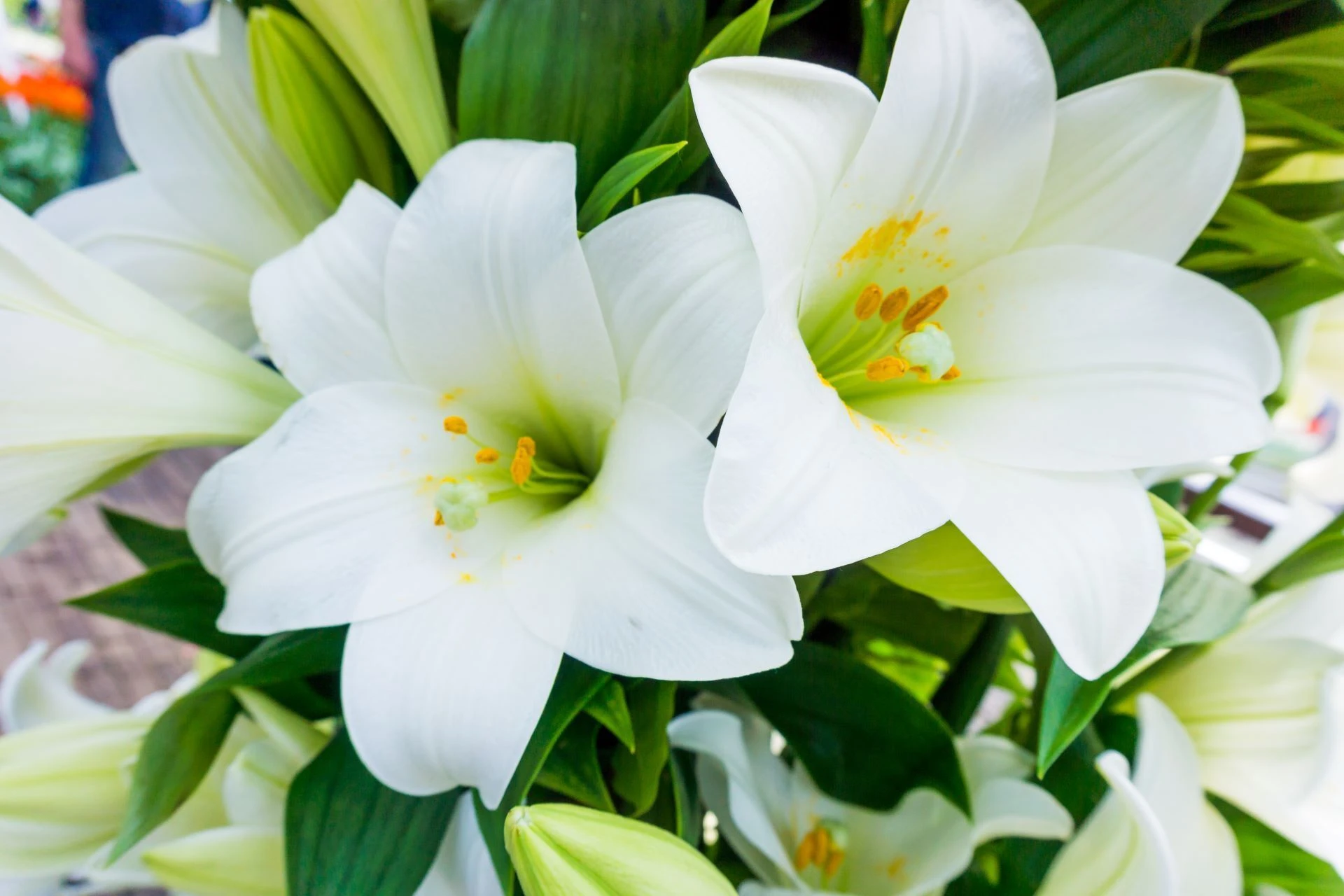 AdobeStock_137470767